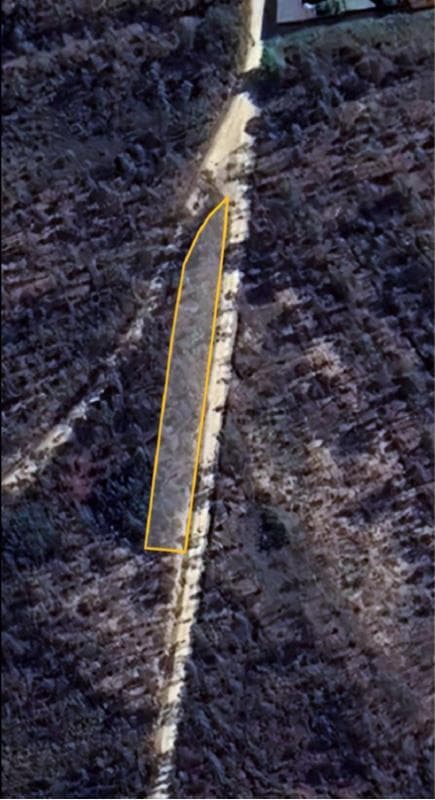 Prédio Rustico - Terreno de pinhal e mato