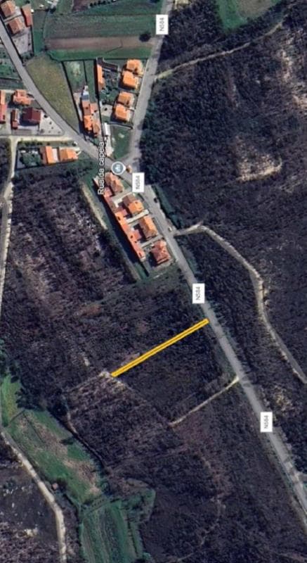 prédio rústico - terreno a pinhal