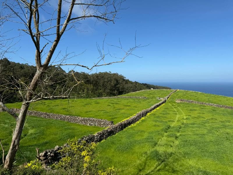 1/2 Prédio rústico sito Praia da Vitória
