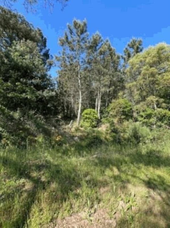 Prédio rústico na freguesia de Vila Nova de Tazem, concelho de Gouveia