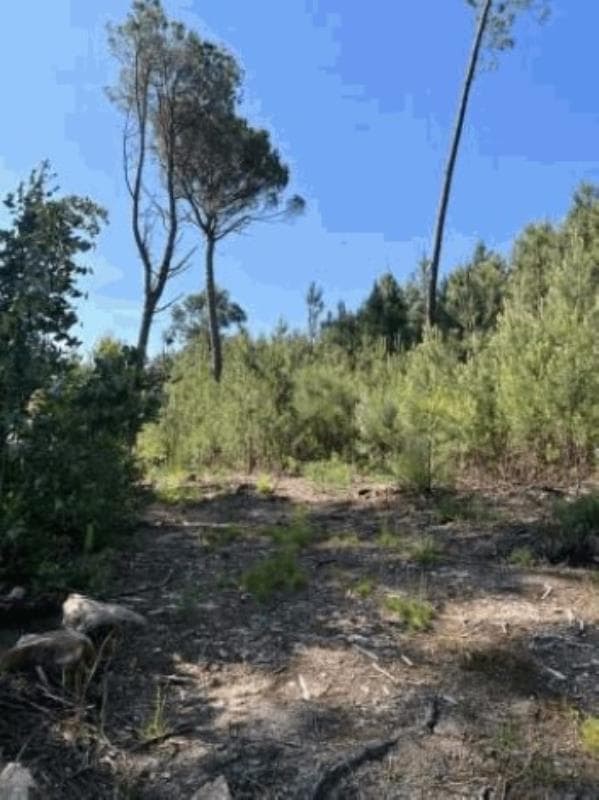 Prédio rústico na freguesia de Vila Nova de Tazem, concelho de Gouveia