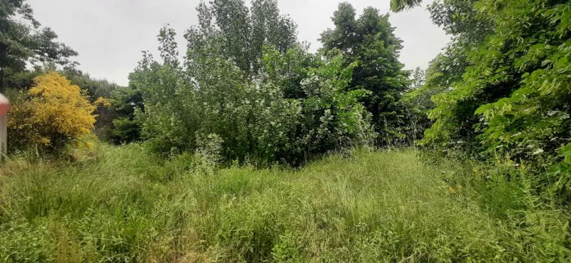 Meação do Prédio Urbano - Moimenta da Beira