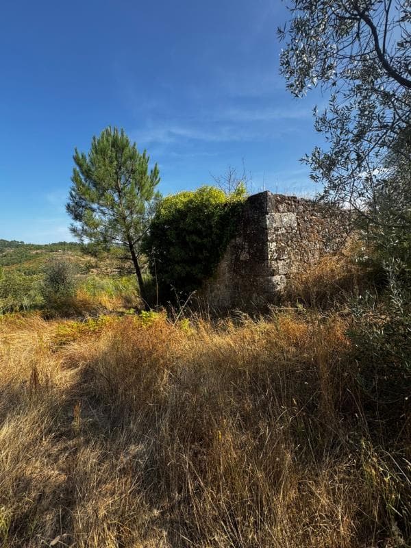 Prédio rústico em Fornos de Algodres