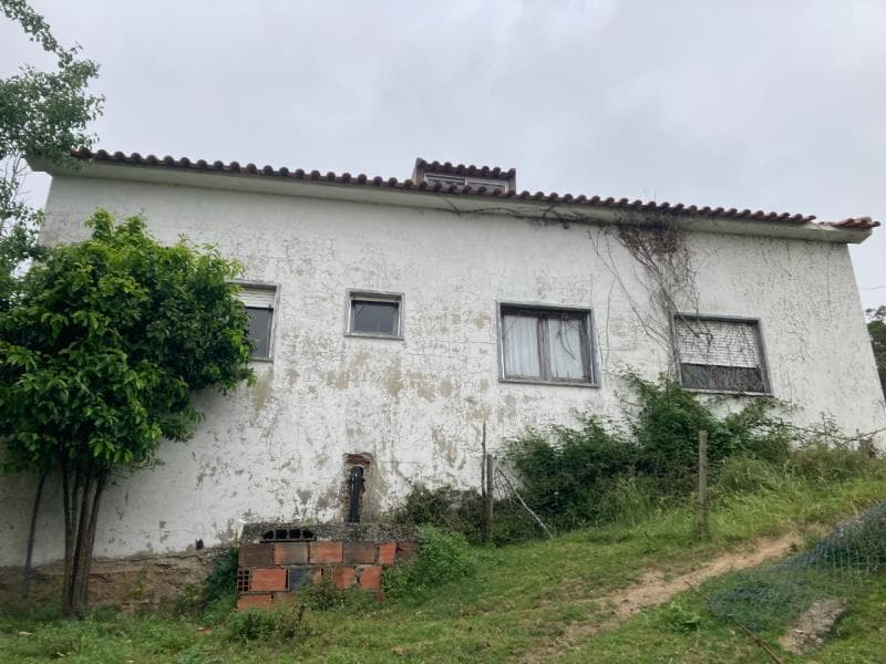 Casa de habitação e Terra com oliveiras e vinha
