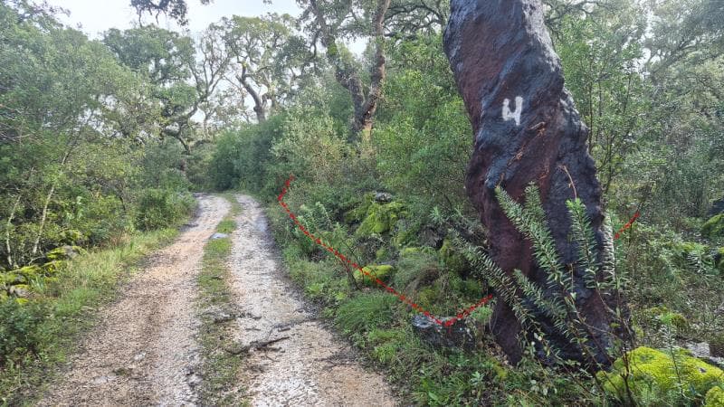 Predio rustico em Moitas da Venda, Alcanena