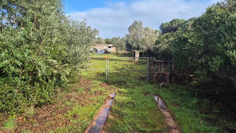Predio rustico em Monsanto, Alcanena