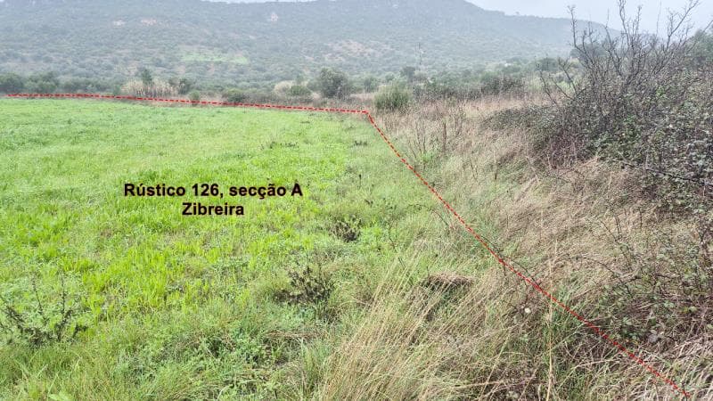 2 Predios rusticos em Zibreira, Torres Novas