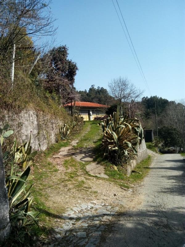 Quinta da Póvoa - Rossas