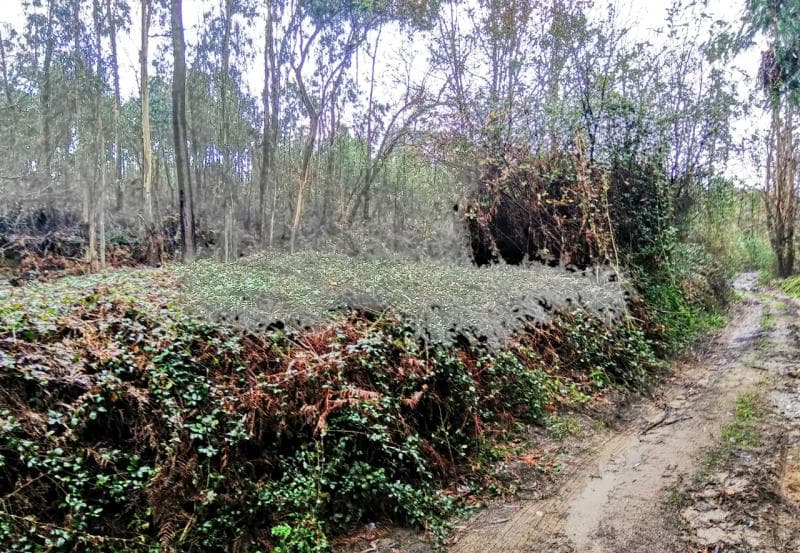 DIREITO AO USUFRUTO SOBRE 3 PRÉDIOS RUSTICOS