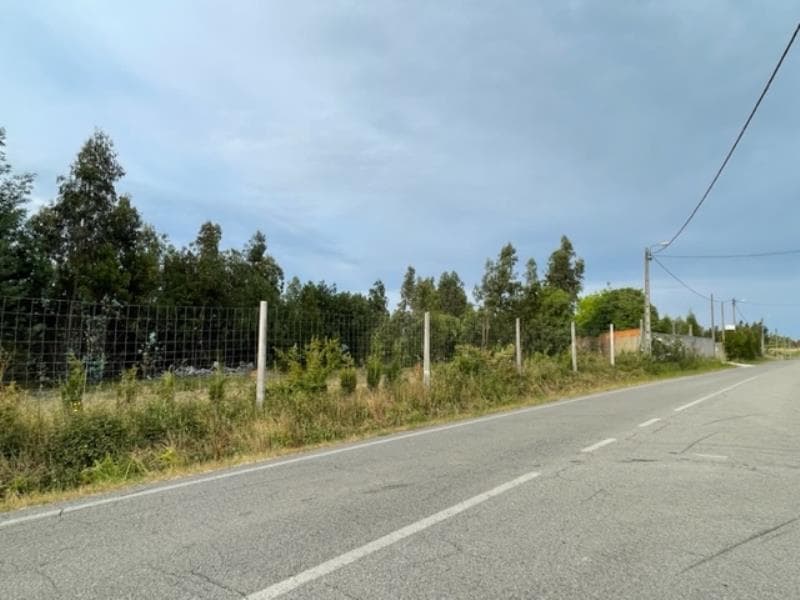 1/2 de artigo rústico com 1980m2 na freguesia da Palhaça