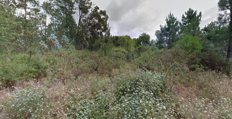 1/2 de artigo rústico com 2690m2 em Febres, Cantanhede