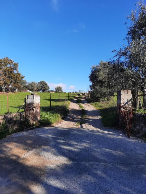 Prédio industrial em Lousa, Castelo Branco, com 12625,00m2 (1/2)
