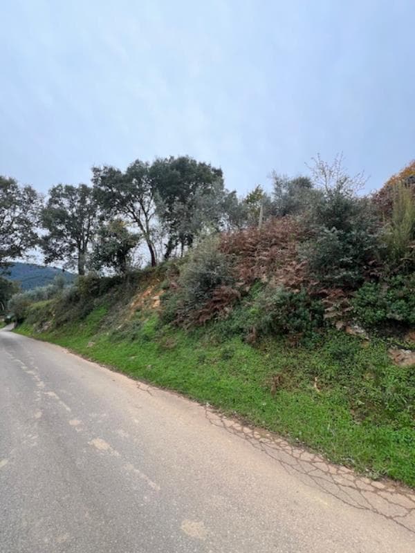 Prédio Rústico na freguesia de Góis (Distrito Coimbra) - Pereirinho