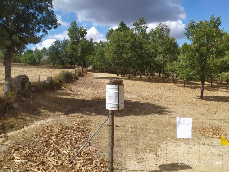 Terra de cultura e pastagem