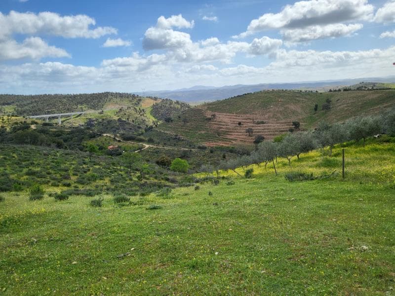 Terreno em Alfândega da Fé com árvores (amendoeiras, oliveiras, etc.) e água.