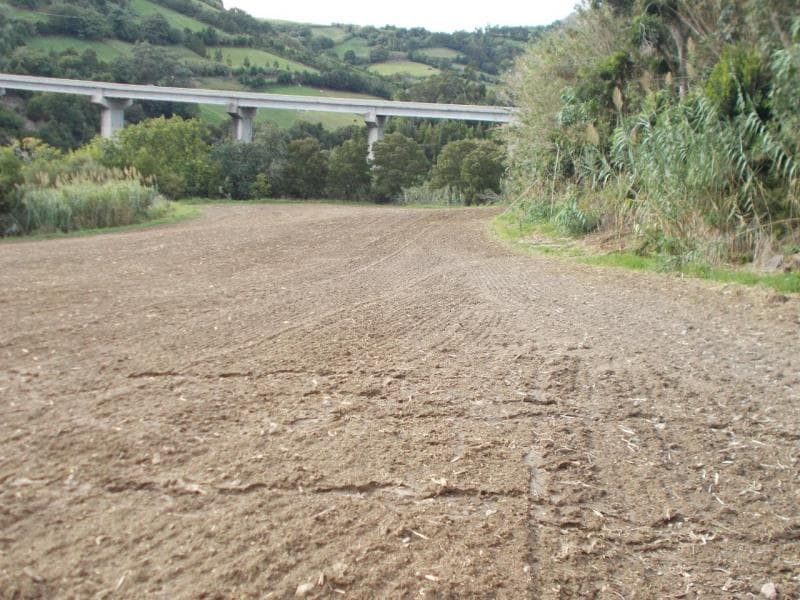 Terreno Rústico sito a Ribeira Chã