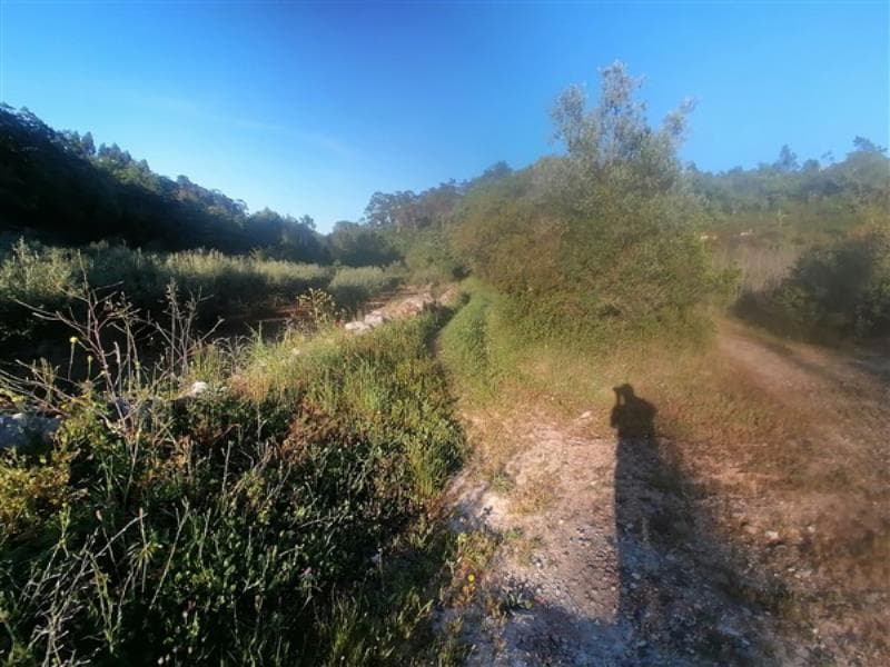 Nua propriedade de prédio rústico sito em Arrabal