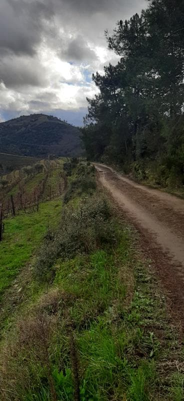 Parte de 1/4 de imóvel rústico