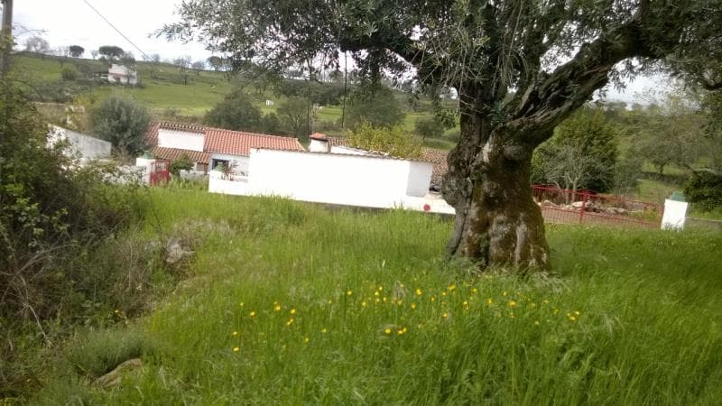 Prédio Rústico em Urra, Portalegre com 500m2