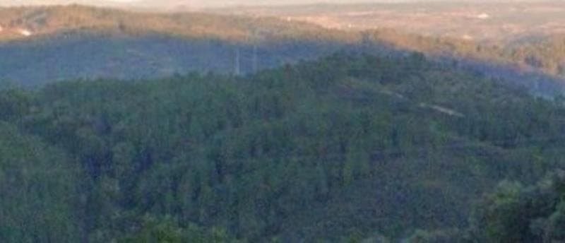 Terreno rústico, Vila Velha de Rodão