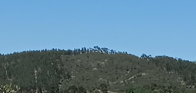 Terreno rústico, Vila Velha de Rodão