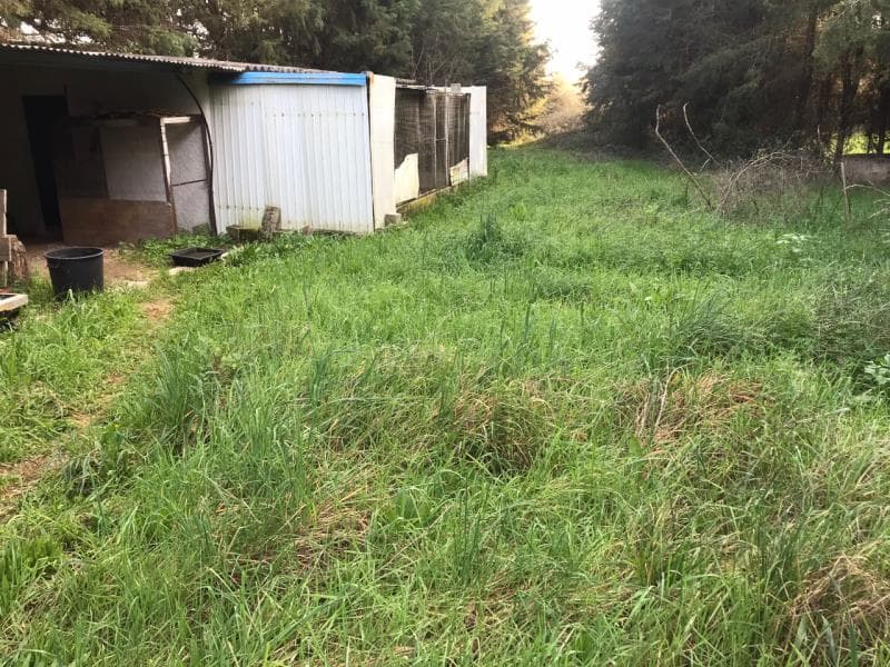 Artigo rústico com 900m2 em Avelar, Ansião