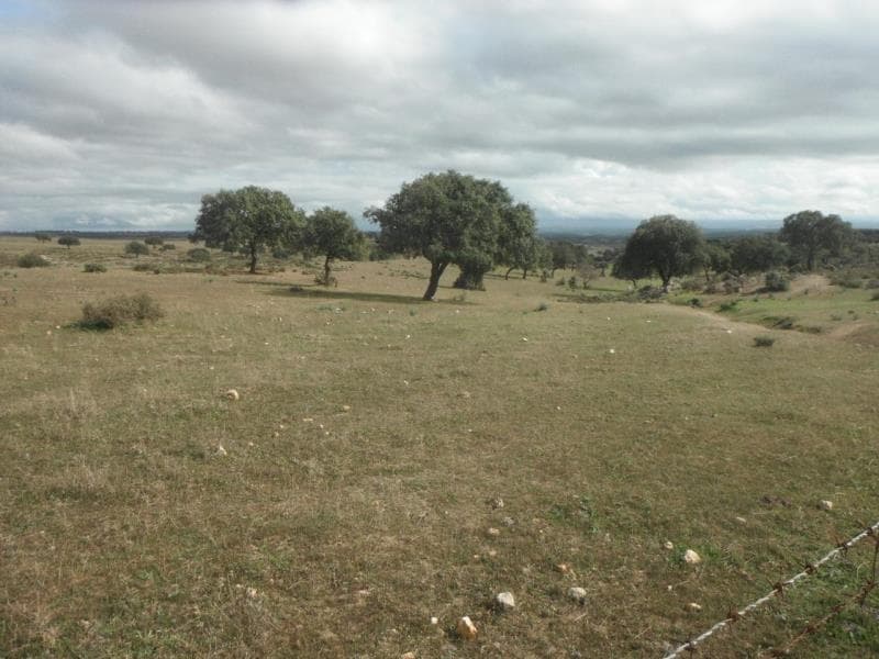 Terreno Agricola situado em Granja/Mourão