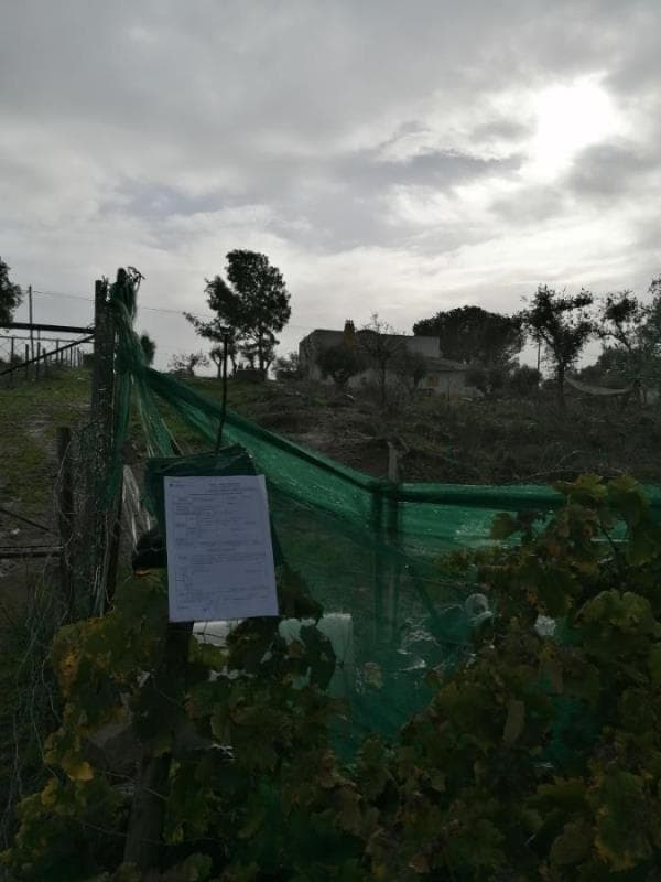 Quota-parte de 1/6 do Direito de Usufruto - Prédio Misto em Beja