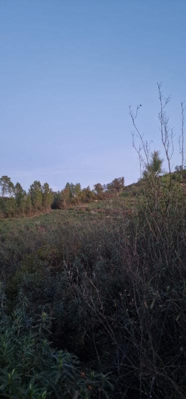 1/3 de Terreno Rústico em Jogada - Aldeia do Mato e Souto