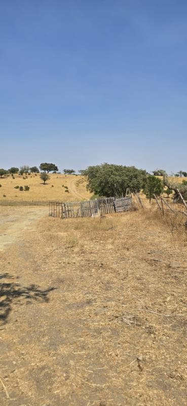 Prédios Rústicos em lote ( 1/2 ), Tapada do Pocinho - Nisa