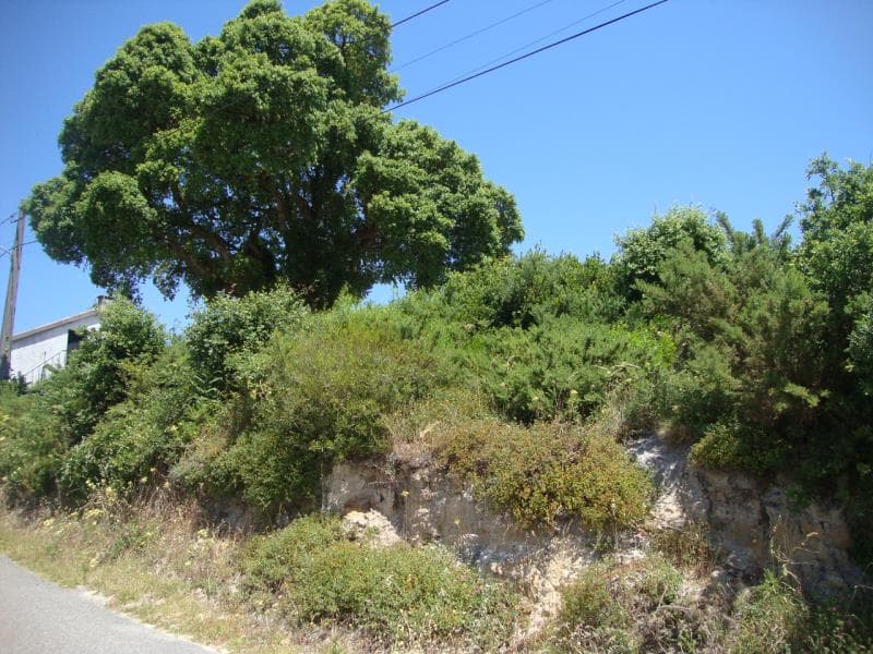 Prédio rústico denominado Brejos, situado em Casais da Fonte, Nadadouro