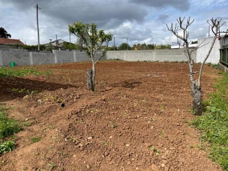 IMÓVEL RÚSTICO SITUADO EM SANTA CATARINA DA SERRA, CONCELHO DE LEIRIA.