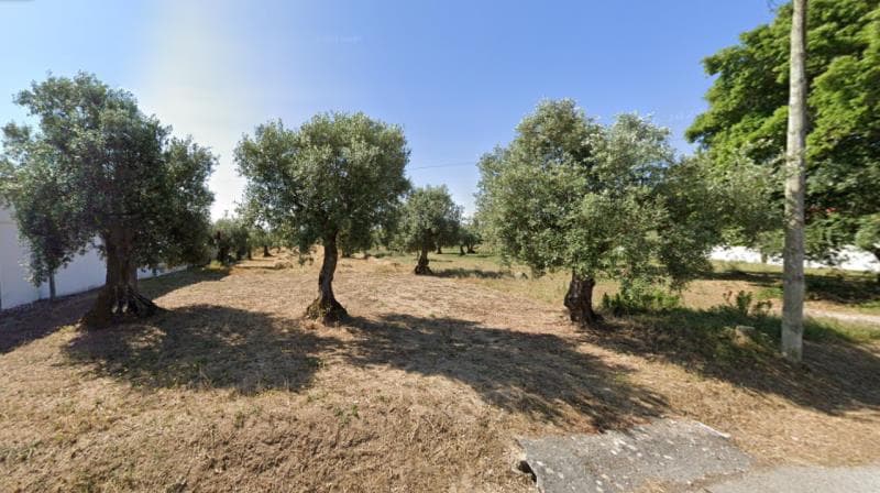 Prédio rústico em Olaia, Torres Novas