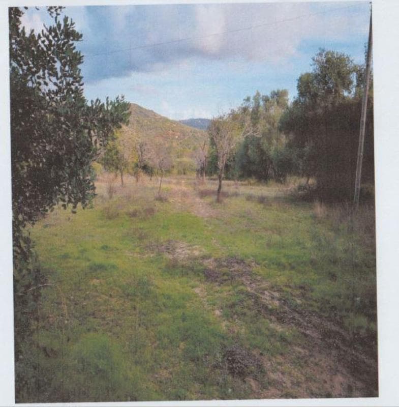 Terreno Rústico Paderne - Albufeira