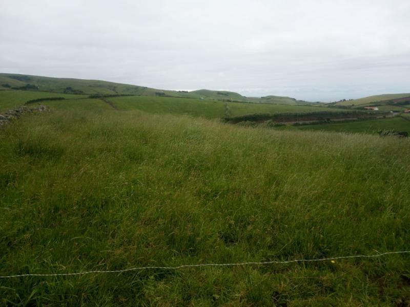 Prédio Rústico sito nas Gramas, Santo Antão