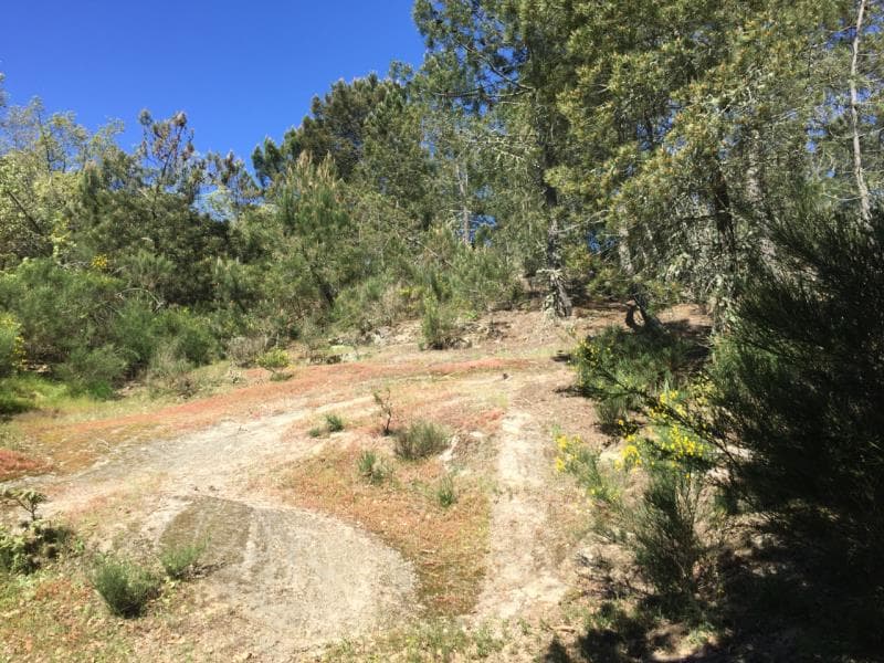 Prédio rústico em Mondrões, Vila Real