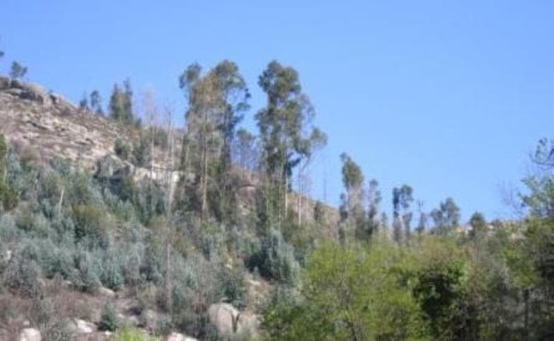 Prédio rústico em Valdosende, Terras de Bouro