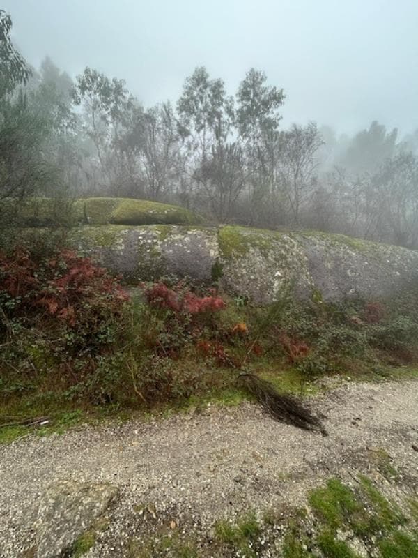 Prédio rústico em Guilhofrei, Vieira do Minho