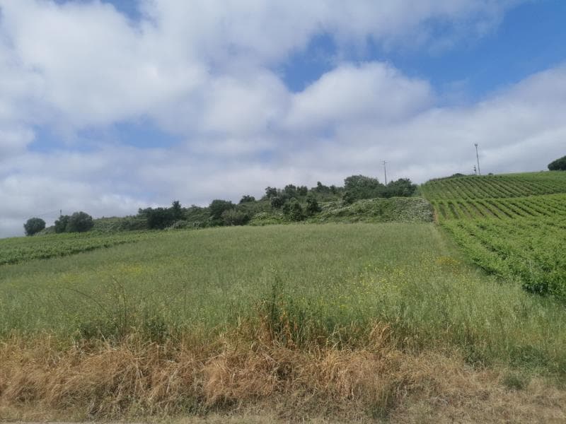 Prédio rústico sito em Aldeia Gavinha