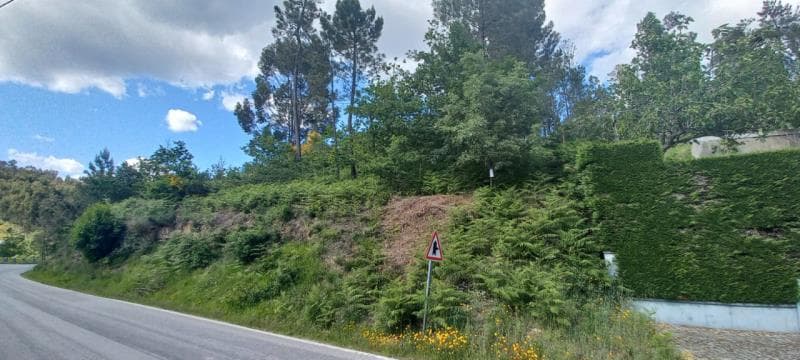 1/32 de prédio rústico em Agilde