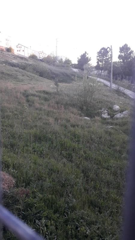 metade indivisa dum prédio rústico