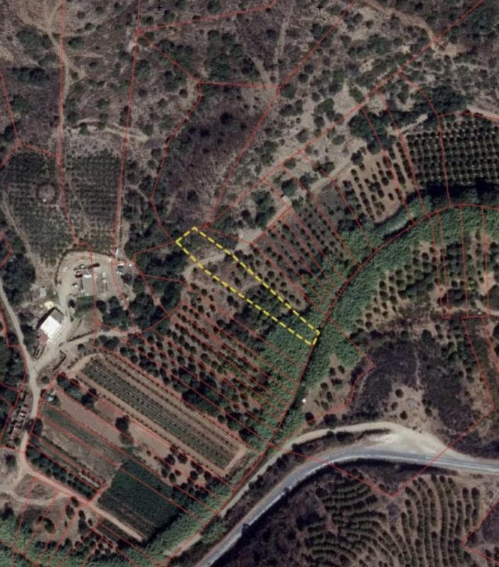 Direito sem determinação de parte (ou direito) sobre terreno Rustico