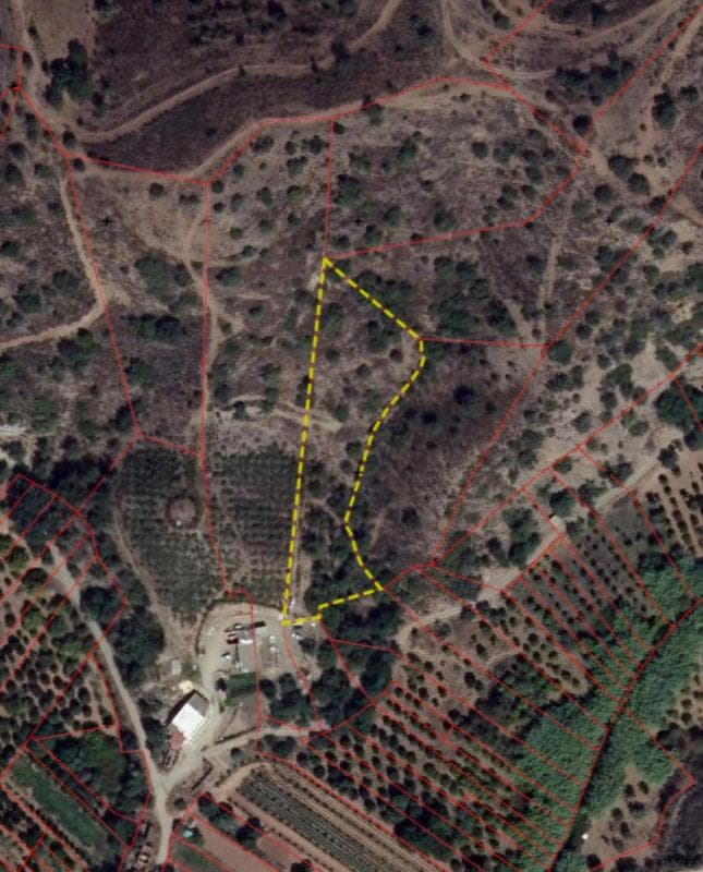 Direito sem determinação de parte (ou direito) sobre um Imóvel rústico