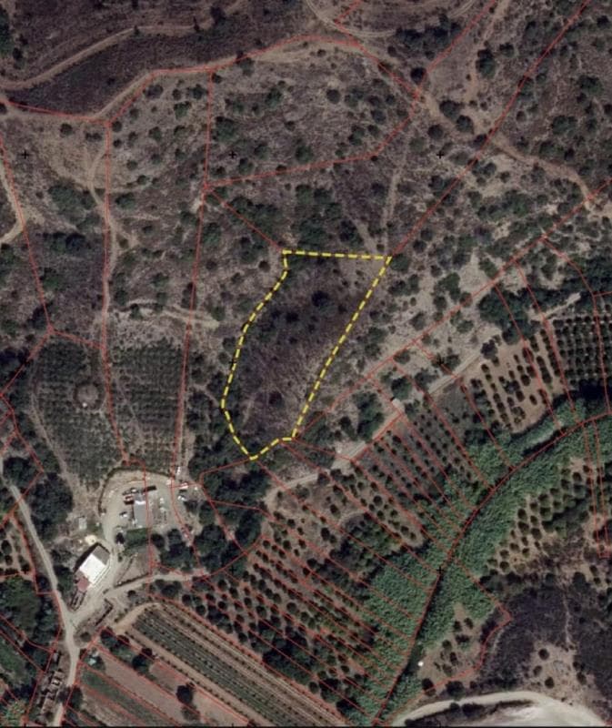 Direito sem determinação de parte (ou direito) sobre imóvel rústico