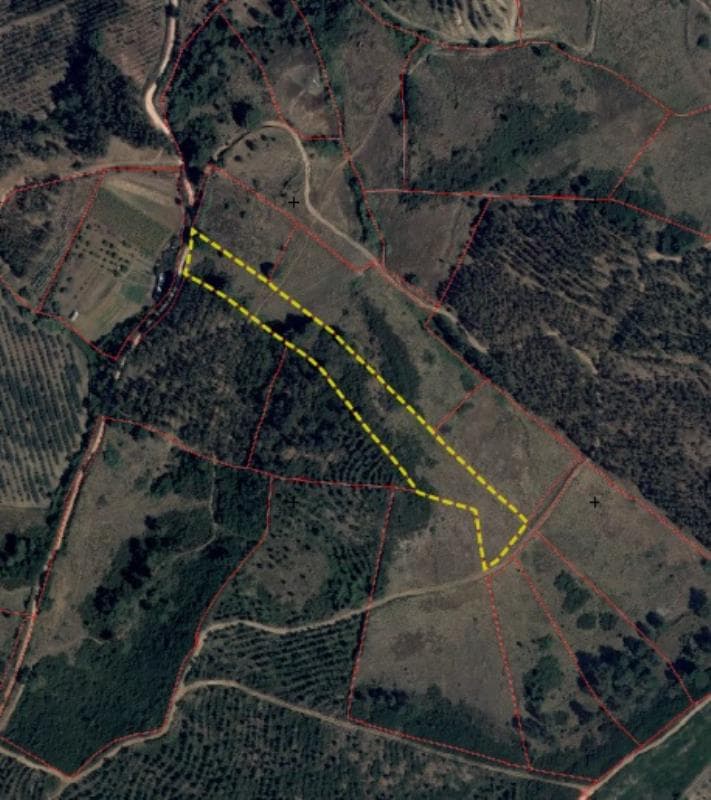 Prédio rústico em Monte Redondo - Torres Vedras